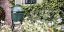 Big Green Egg Medium